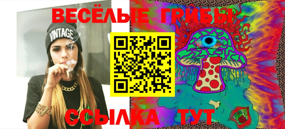Псилоцибиновые грибы Magic Shrooms  Вход с VPN  Ржев  как найти   Галлюциногенные грибы ЛСД 